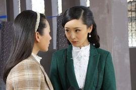 电视剧黑狐下载,谍影重重，揭秘抗战岁月的隐秘战线