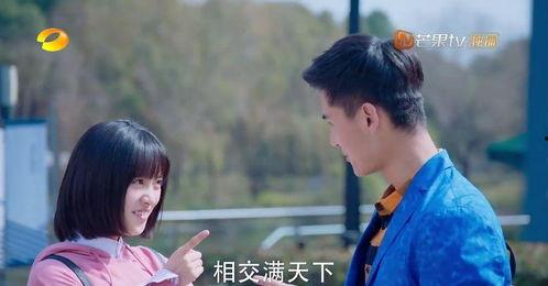 青春搞笑电视剧,校园里的欢乐时光