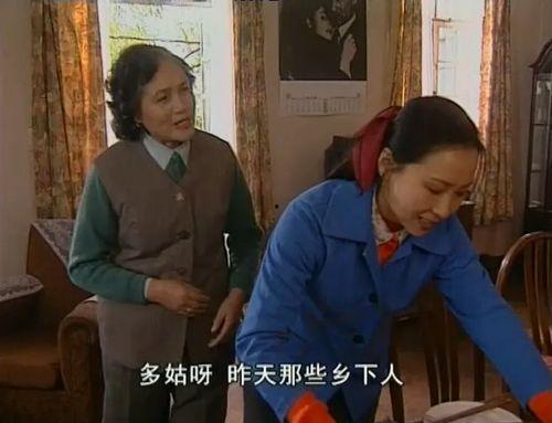 电视剧婆婆媳妇小姑子,揭秘电视剧婆婆媳妇小姑子的家族纠葛