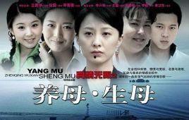 生母养母电视剧全集,情感纠葛与家庭伦理的较量