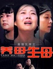 生母养母电视剧全集,情感纠葛与家庭伦理的较量