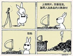 性文化漫画,揭秘隐秘的视觉叙事