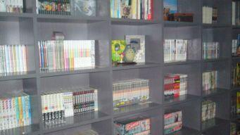 书柜漫画图,揭秘阅读乐趣与知识宝藏